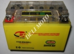АКБ YTX12A-BS(Gel)  12 v 9,5ah желтый. с индикатором
