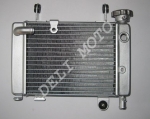 Радиатор охлаждения MUSSTANG MT200/250-1(MUS)